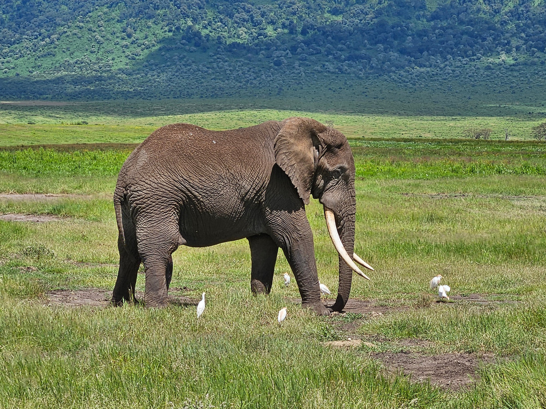 Shanjoy Tours and Safaris-Kikuyu必去景点