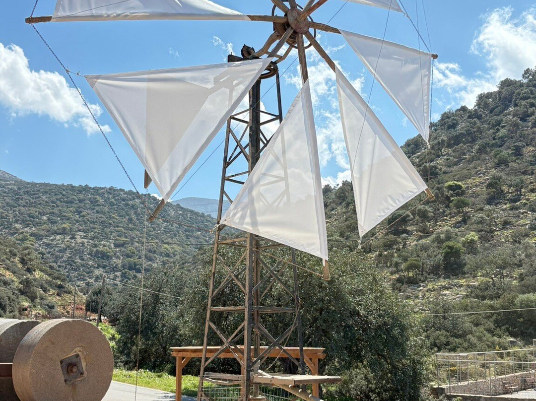 Omalia Olive Press-马利亚必去景点
