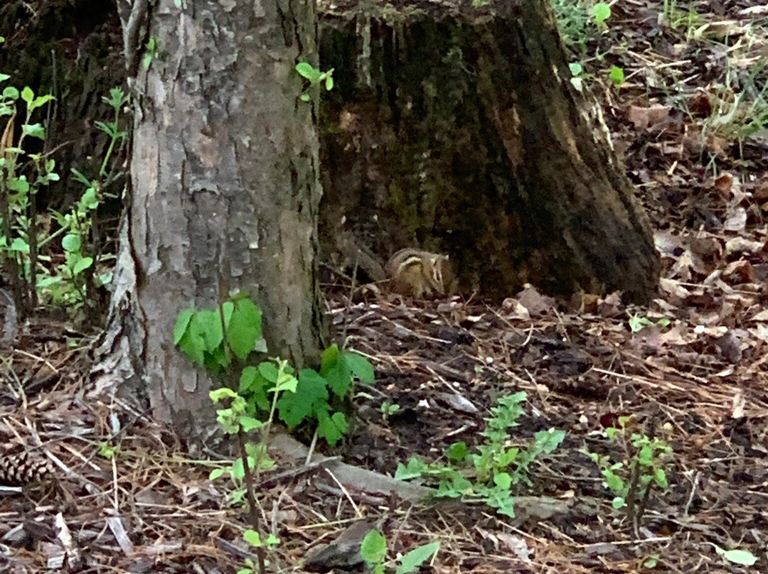 沃德菲尔德庄园 - 圣丹斯度假旅馆主图