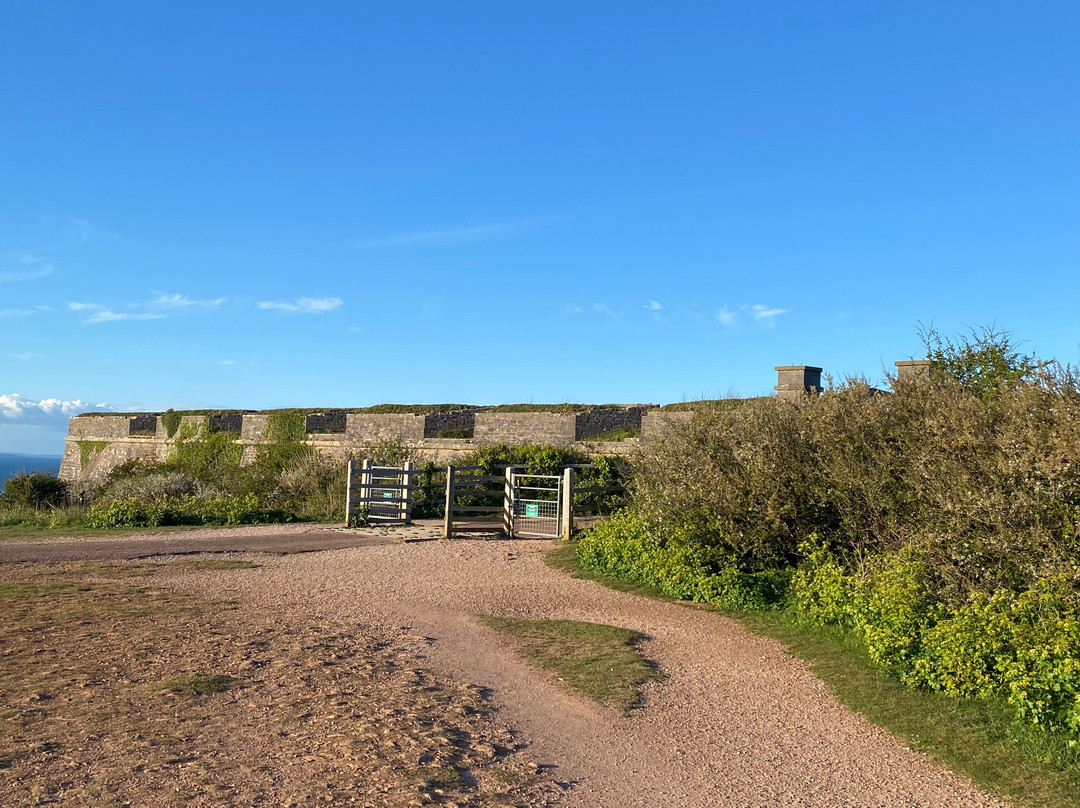Berry Head National Nature Reserve-布里克瑟姆必去景点