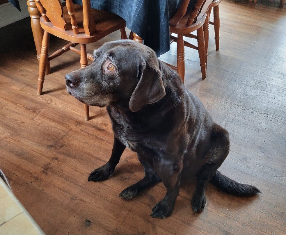 The Runswick Bay Catch