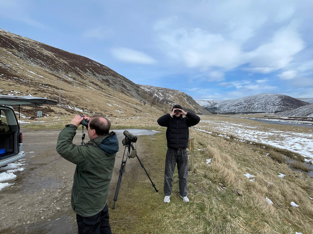 Speyside Wildlife-阿维莫尔必去景点