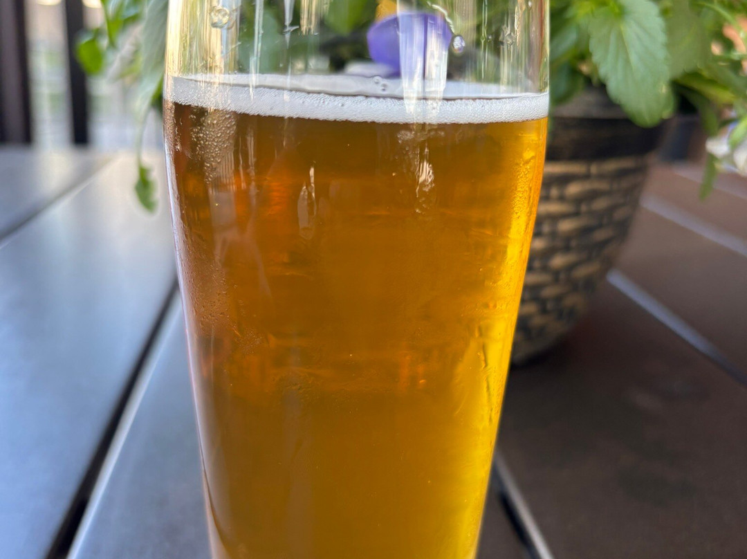 Brass Collar Brewing Co