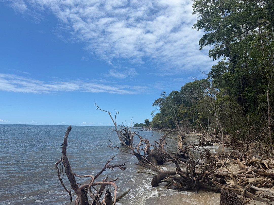 Caribbean Guide Puerto Viejo-旧港必去景点