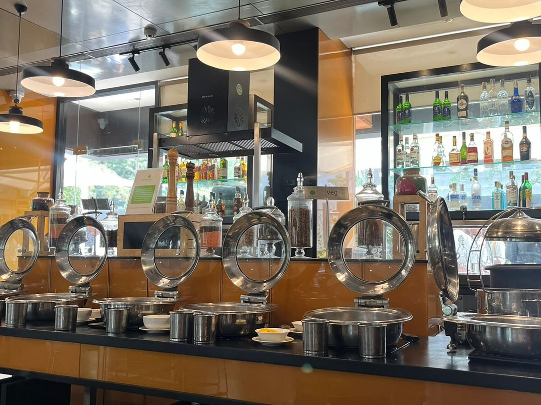 维曼纳加尔柠檬树酒店主图