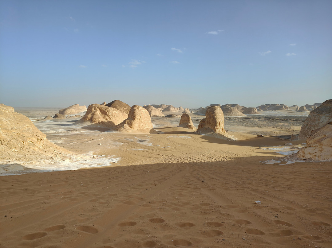 Jimmy Egypt Safari-Bawiti必去景点