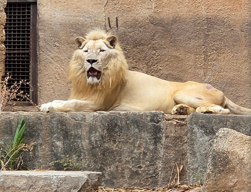 Zoologico de Vallarta-Mismaloya必去景点