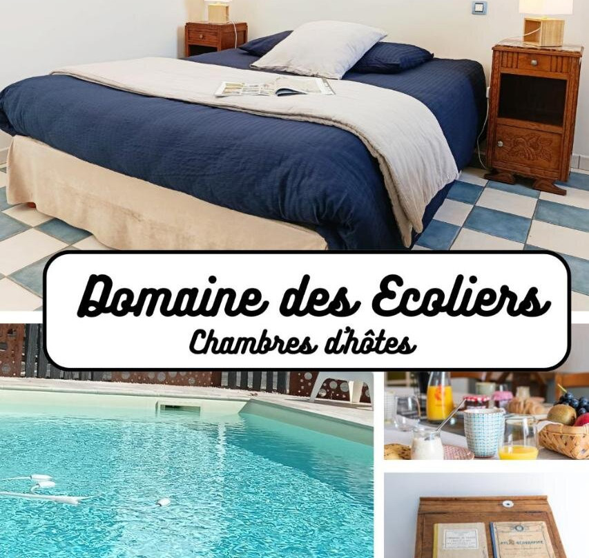 Saint-Hilaire-de-Loulay酒店住宿-Le Domaine des Ecoliers