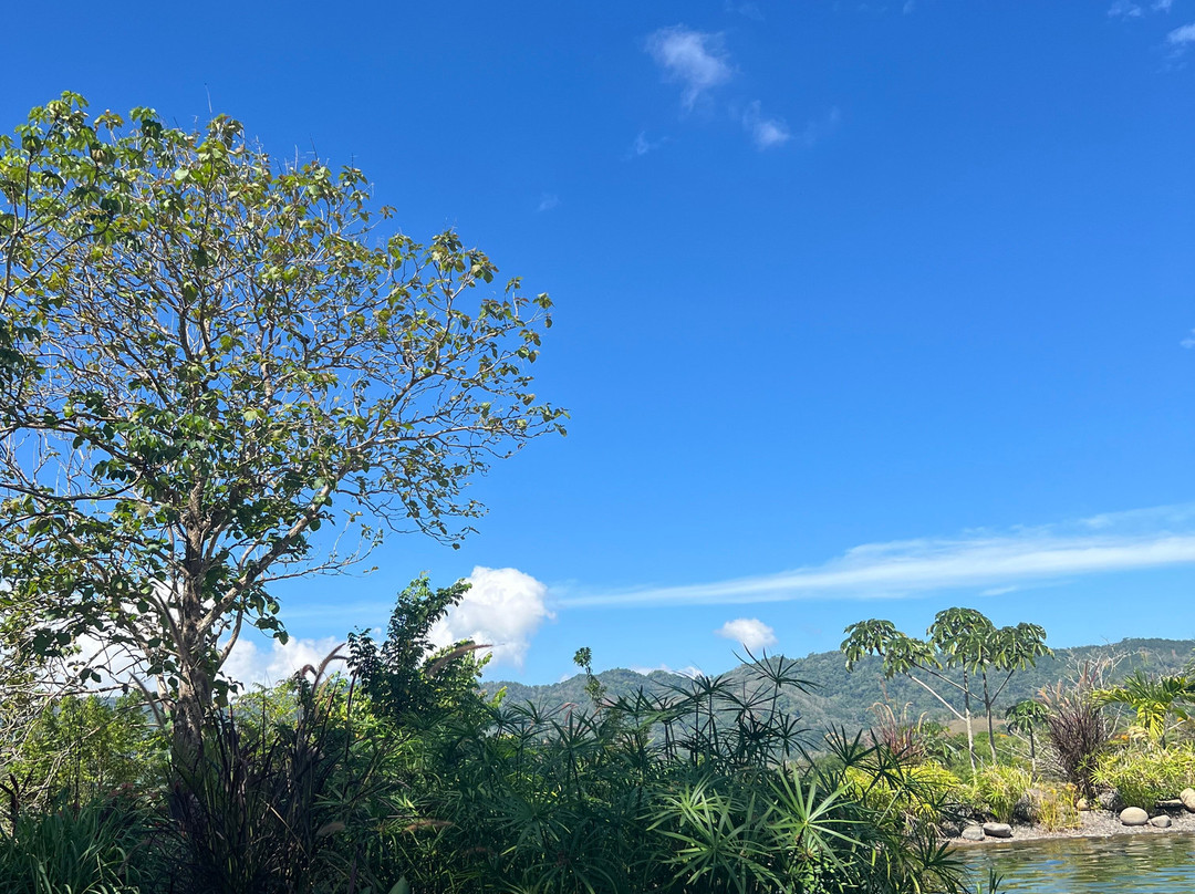 Libélula Retreat Center