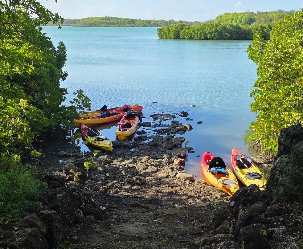 Sea Kayak Adventures-毛里求斯必去景点
