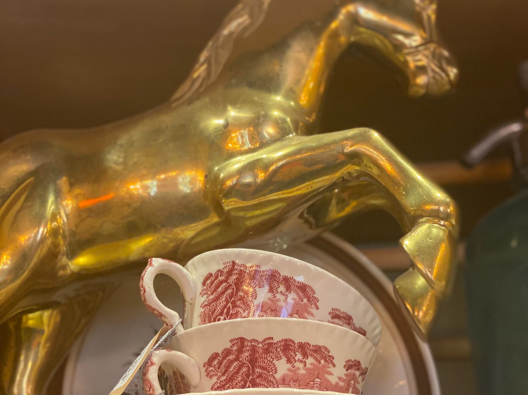 Barakhol'shchik-泽列诺格拉茨克必去景点