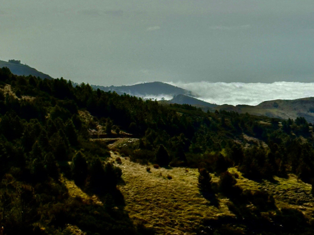 Madeira Wonder Hikes-沙尔必去景点