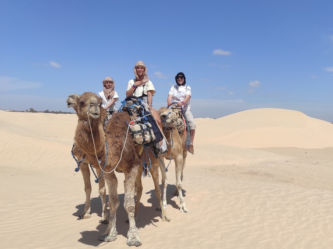 GSA-VOYAGES - Grand Sahara Aventures-杰尔巴岛必去景点