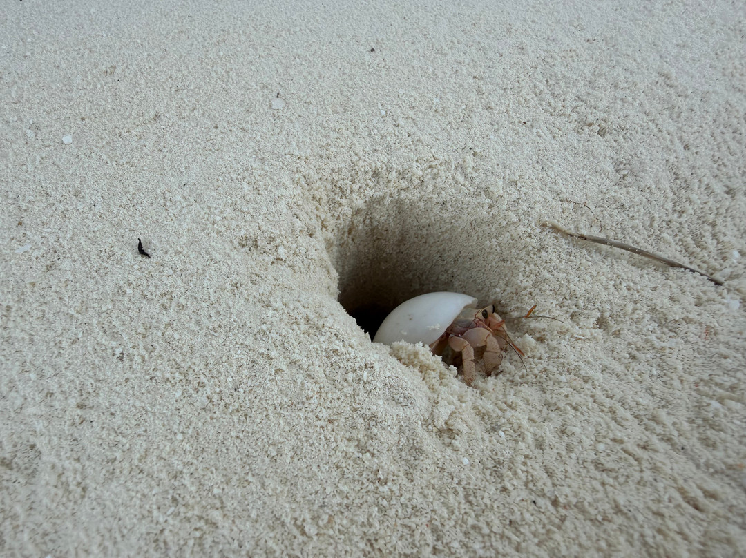 TUI BLUE Olhuveli Romance主图