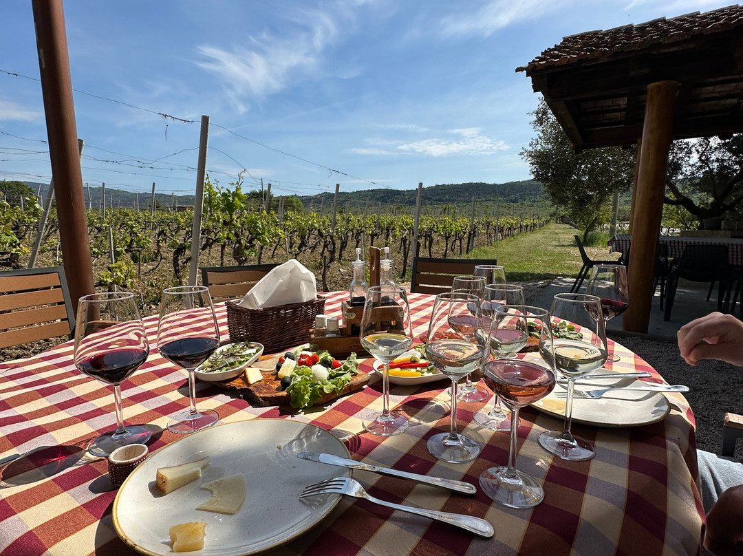 Winery Botaro-杜布罗夫尼克必去景点