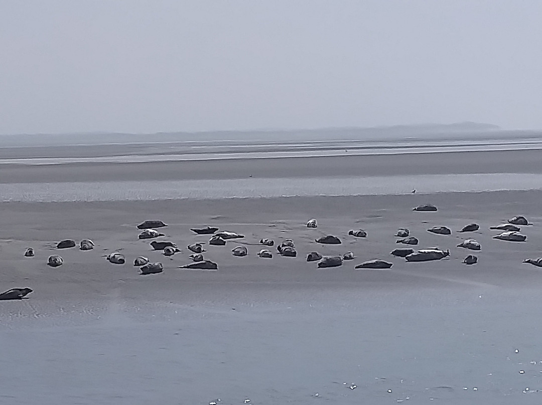 Point de vue Baie d'Authie-Berck必去景点