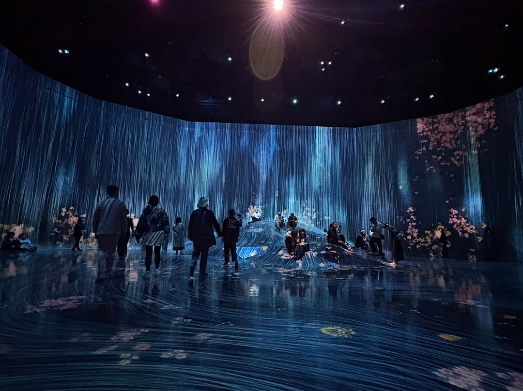 Teamlab Borderless Tokyo-港区必去景点