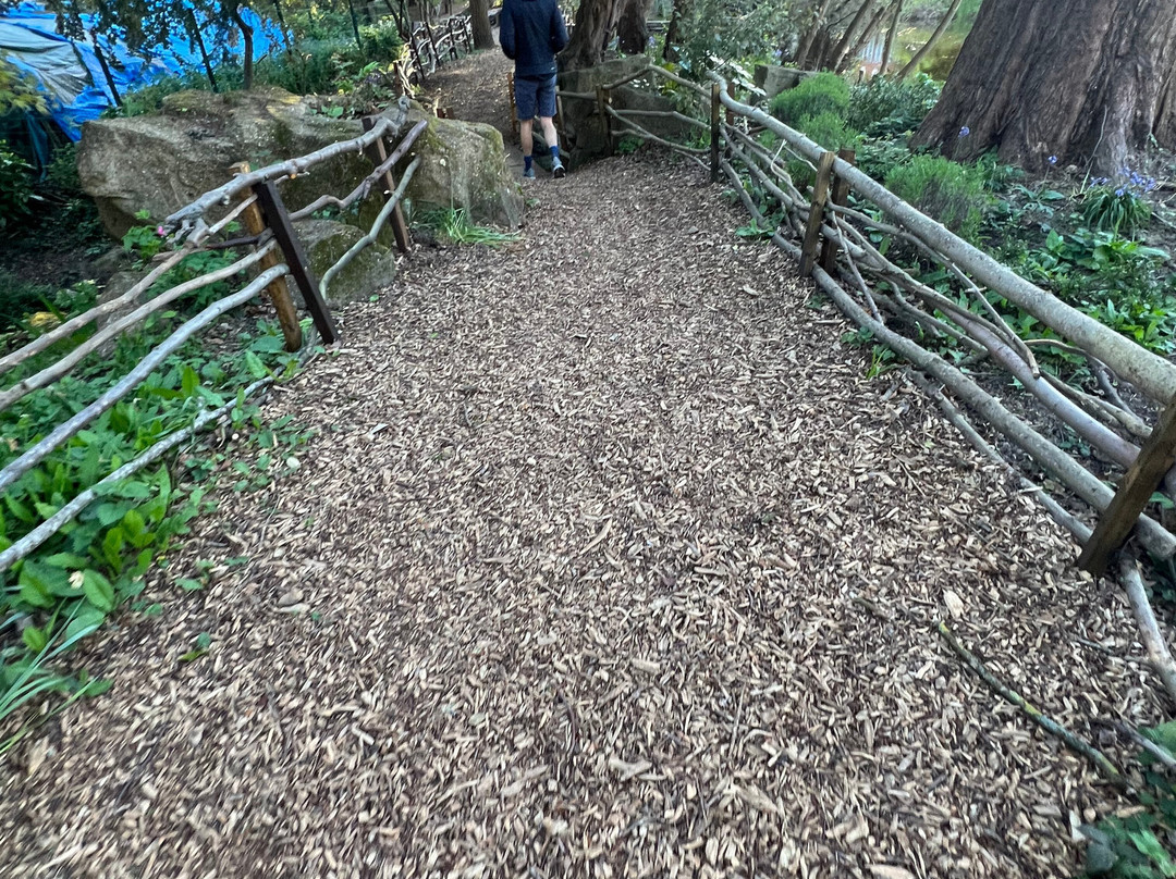 Bromley Palace Park-布罗姆利必去景点
