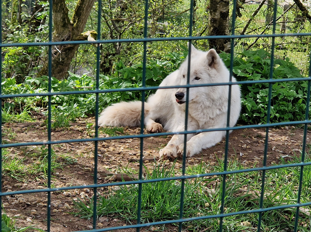 Five Sisters Zoo-West Calder必去景点