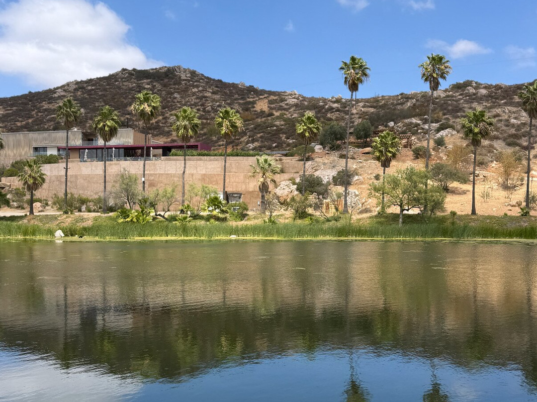 Monte Xanic Bodega Vinícola-Valle de Guadalupe必去景点