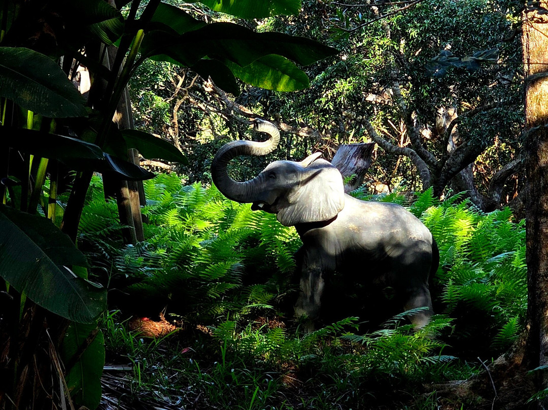 Lodge Terre De Soleil主图