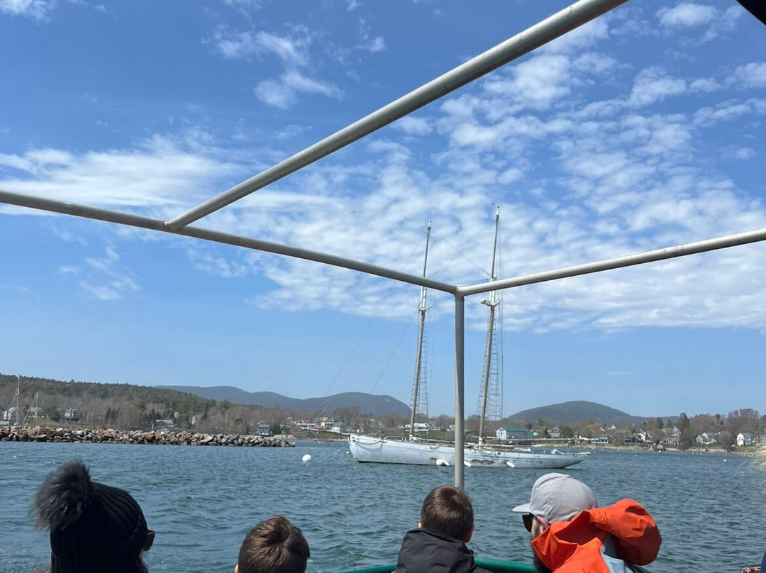 Sail Acadia-Southwest Harbor必去景点