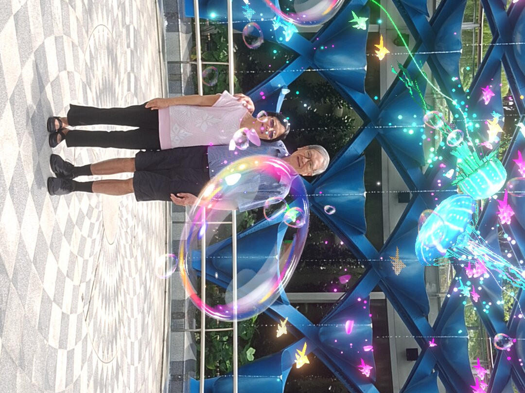 Sentosa SensoryScape-新加坡必去景点