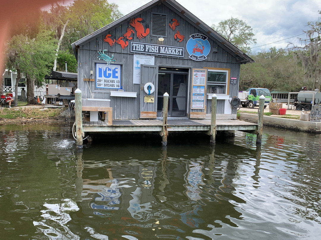 Island Girl Cruises-Homosassa Springs必去景点