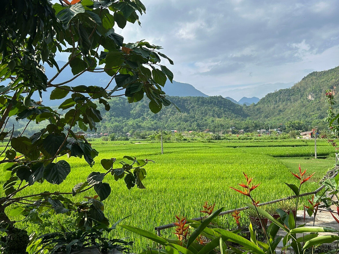 Little Mai Chau Home Stay主图