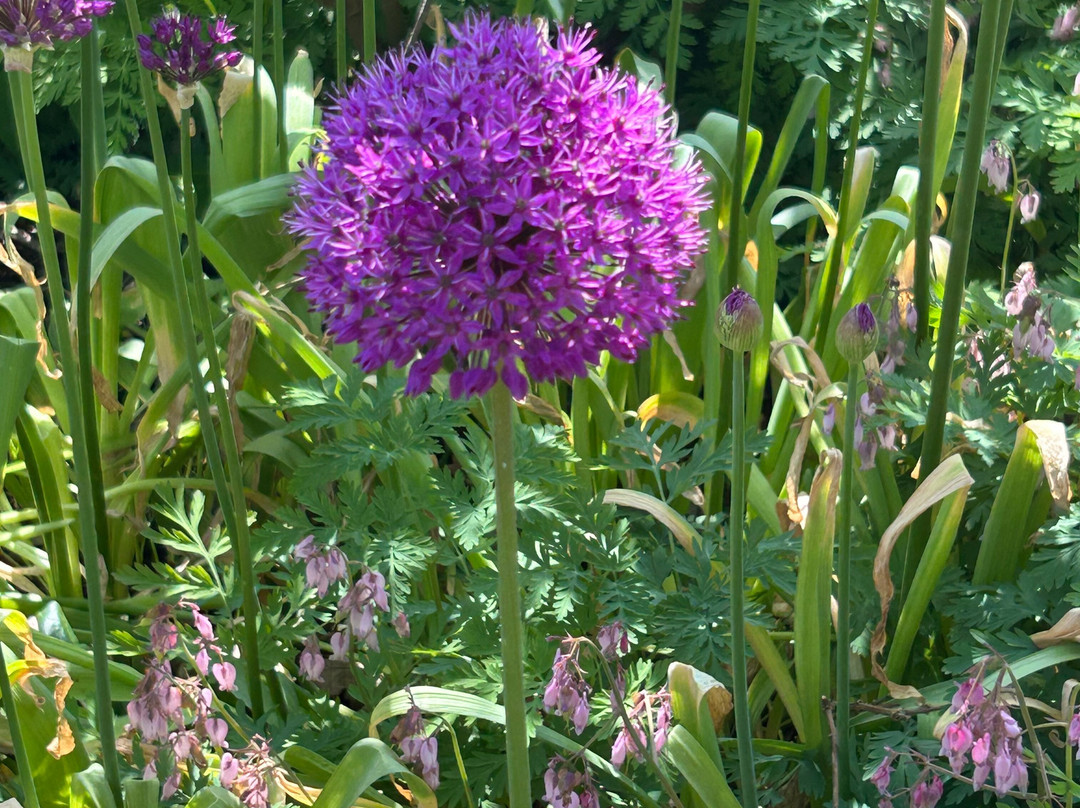 Green Island Gardens-Ardleigh必去景点