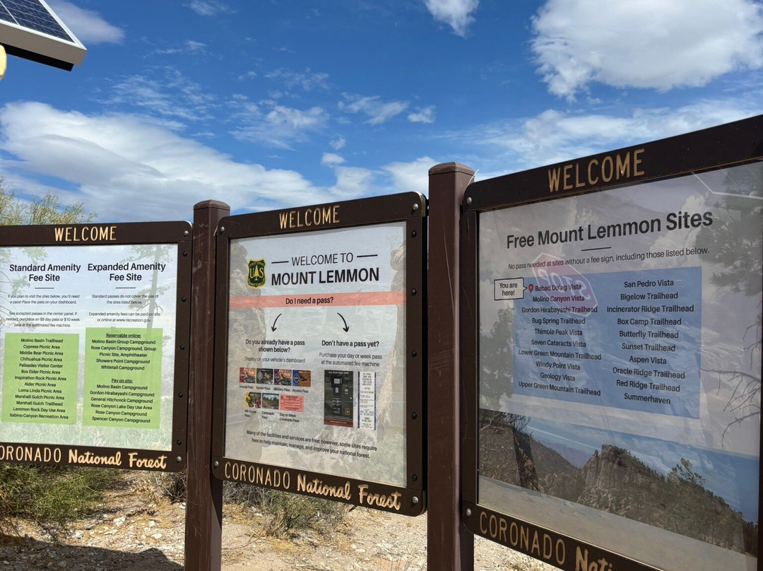 Mt. Lemmon Scenic Byway-图森必去景点