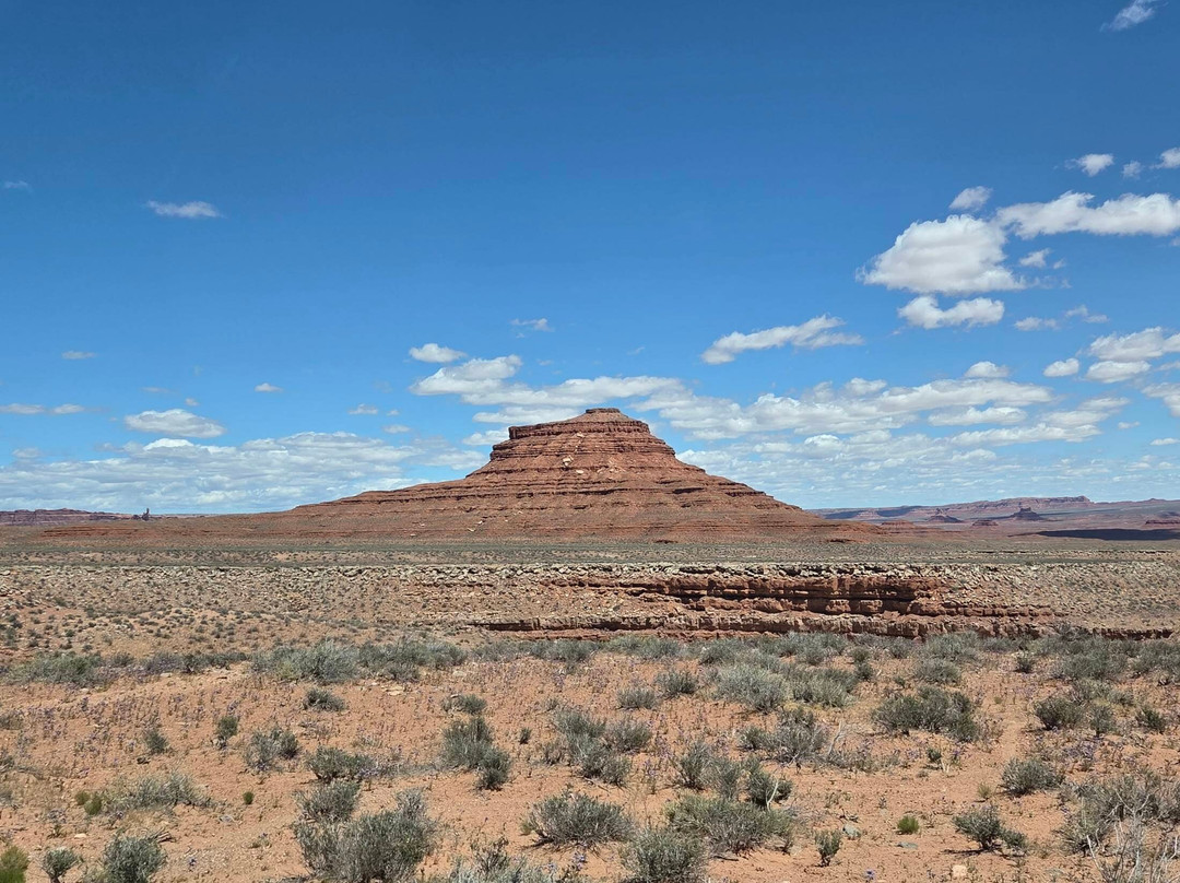 Goosenecks State Park-布兰丁必去景点