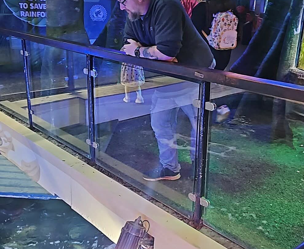 Sea Life Scarborough-斯卡伯勒必去景点