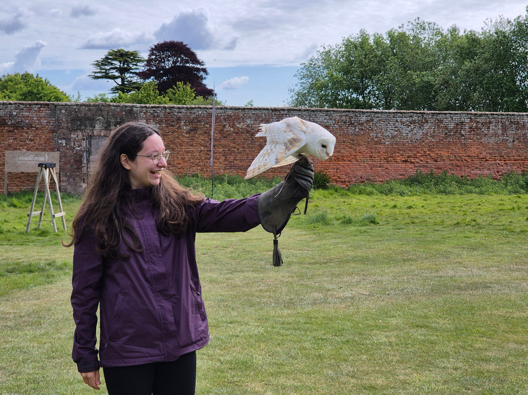 The Hawking Centre-Boughton Lees必去景点
