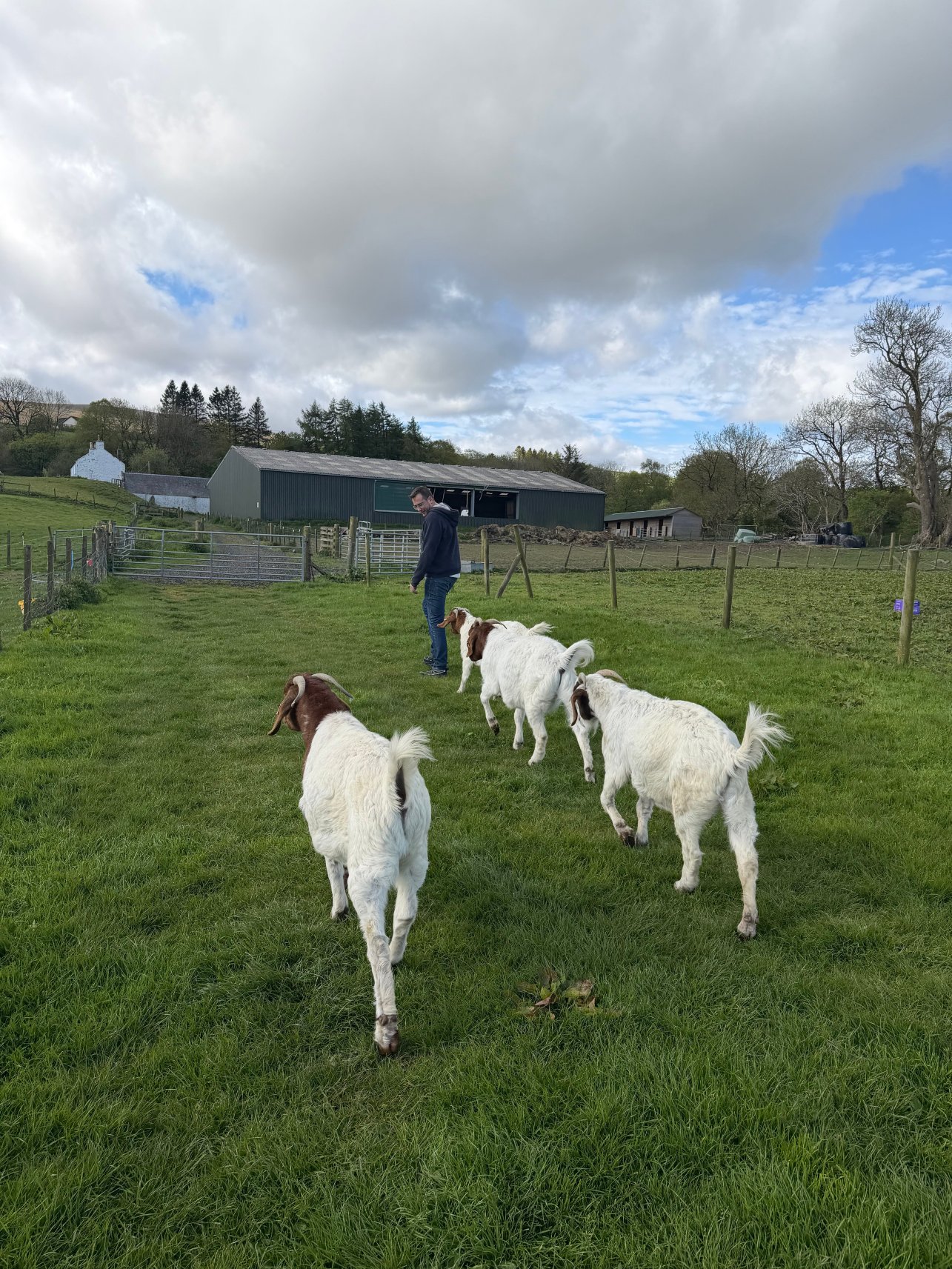 Meikle Westland Farm-旅行者