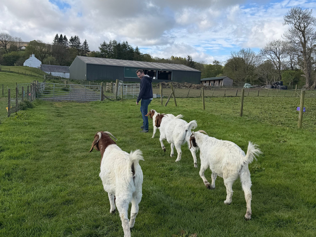 Meikle Westland Farm主图