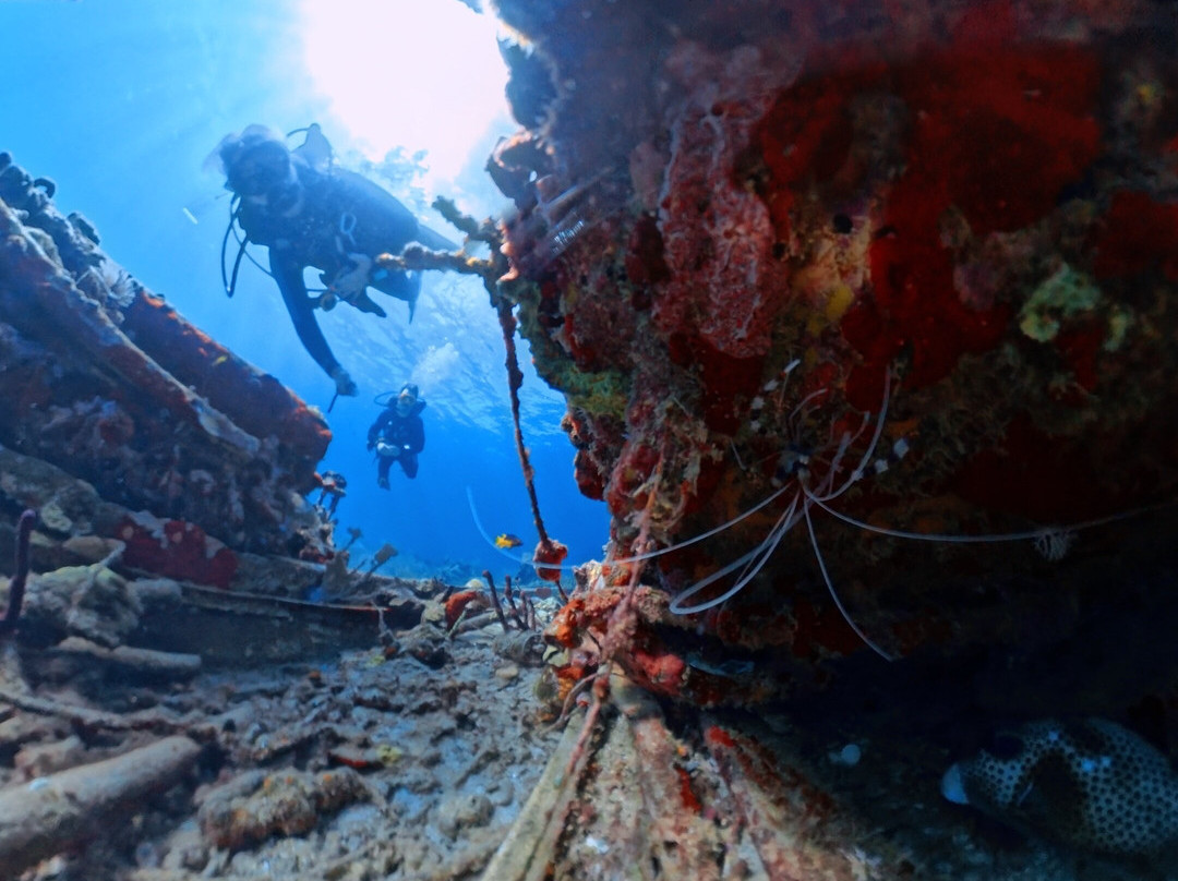 Dive Grenada-Grand Anse必去景点