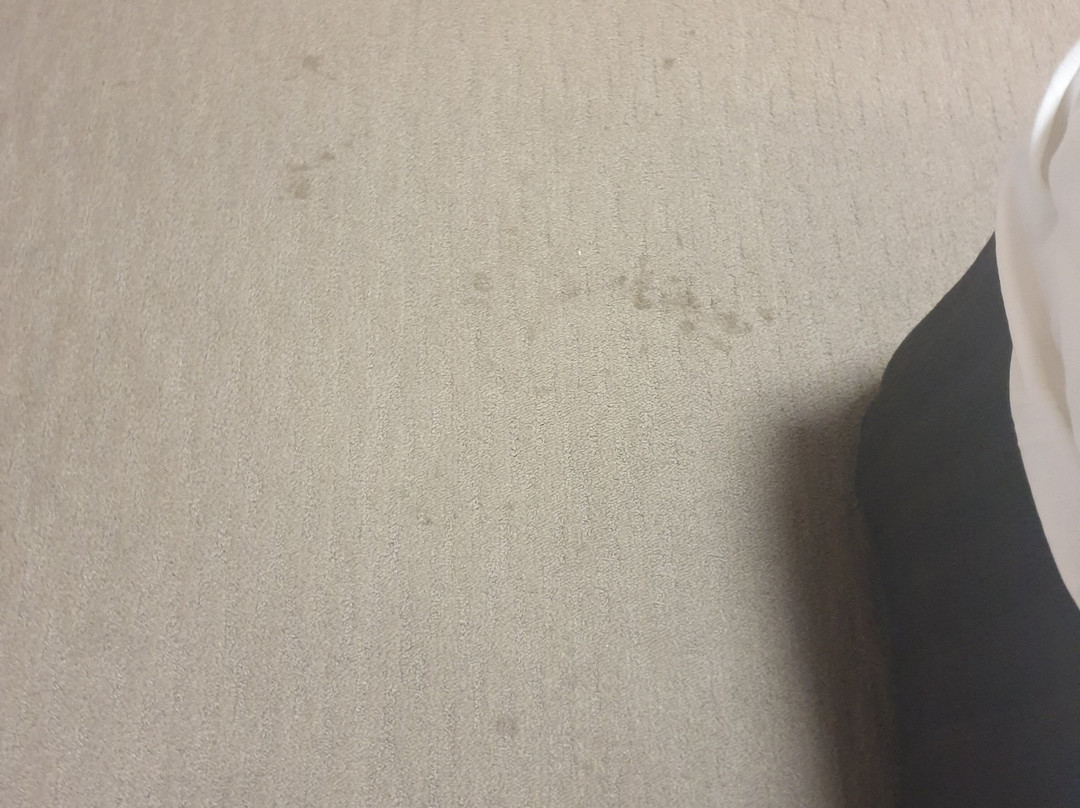 MAS乡村纳兰德拉俱乐部汽车旅馆主图