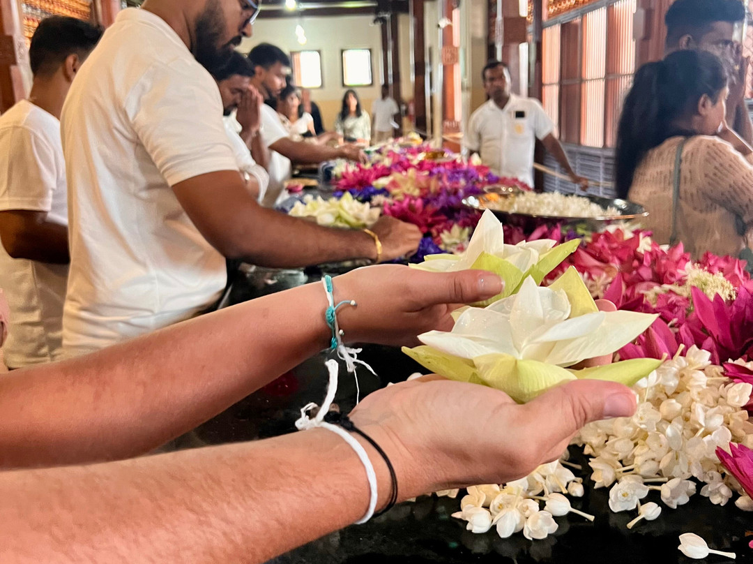 Sri Lanka Wide Tours-科伦坡必去景点