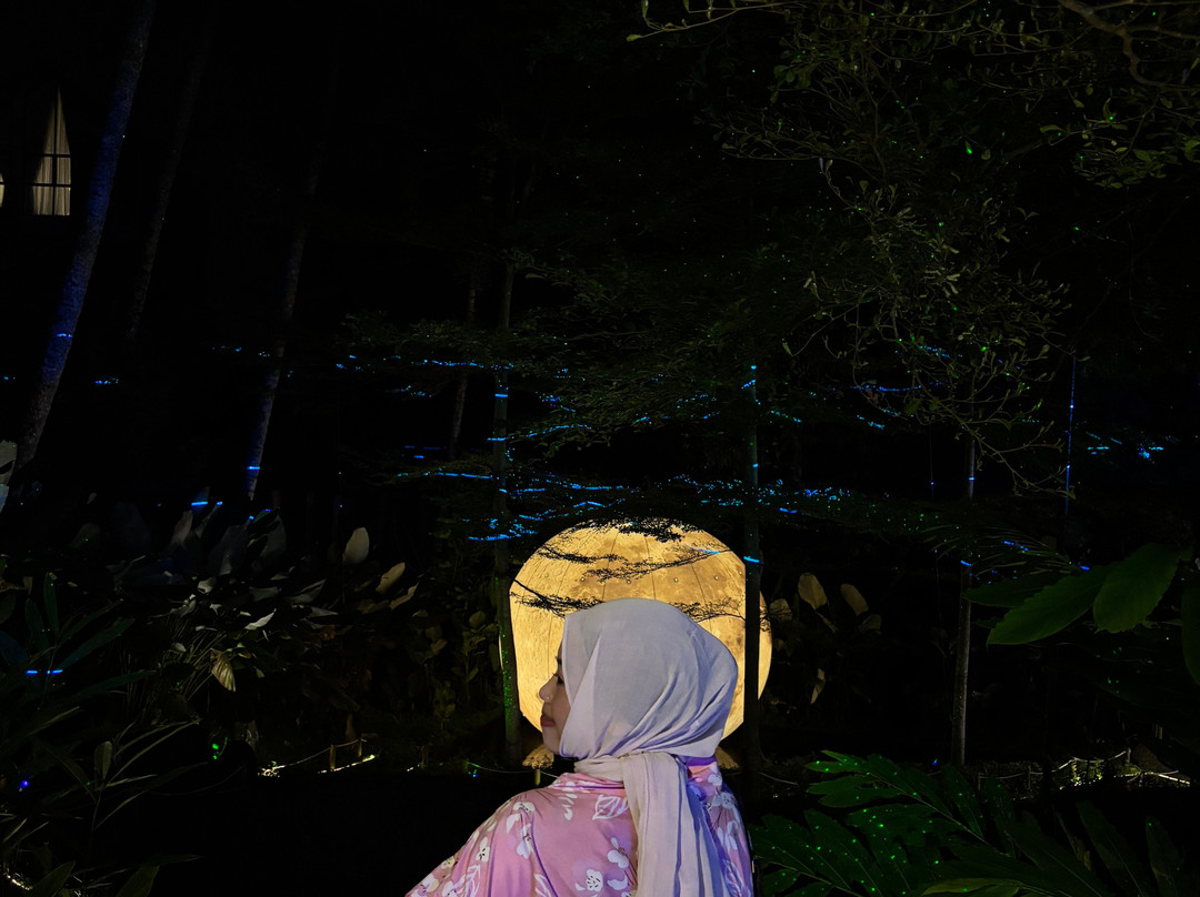 Hikaria: Bali's First Immersive Night Walk-Tegallalang必去景点