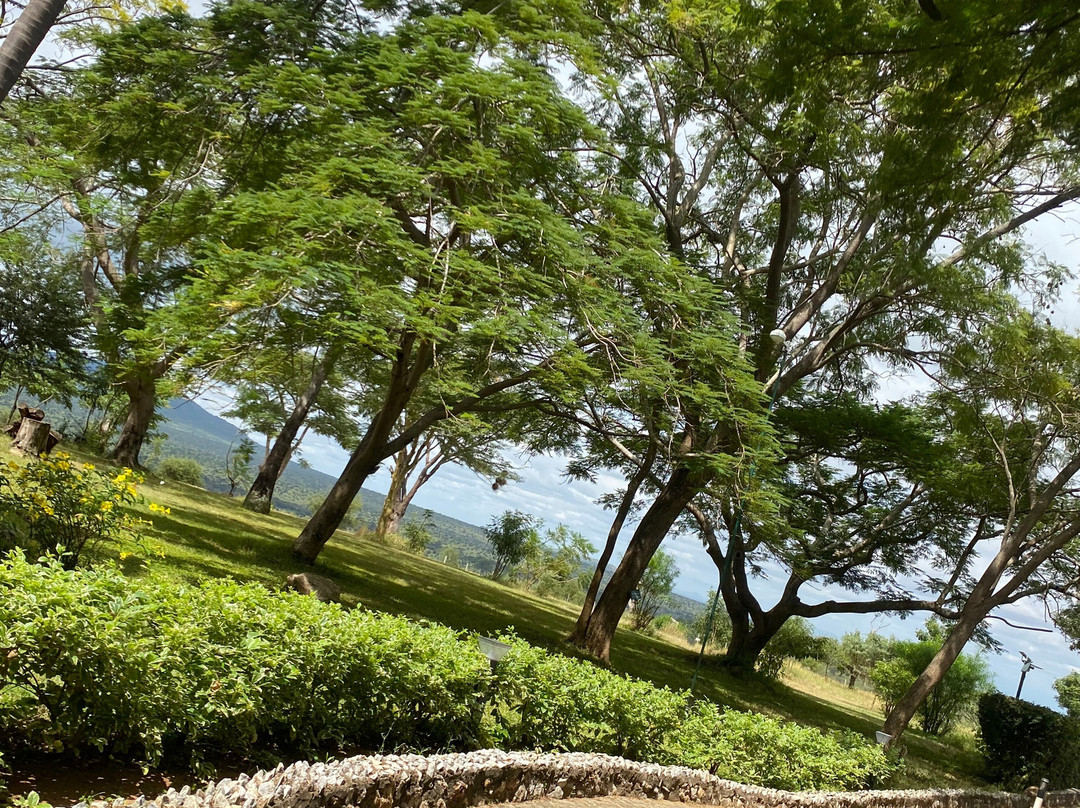 泰塔山游猎度假村及小屋主图