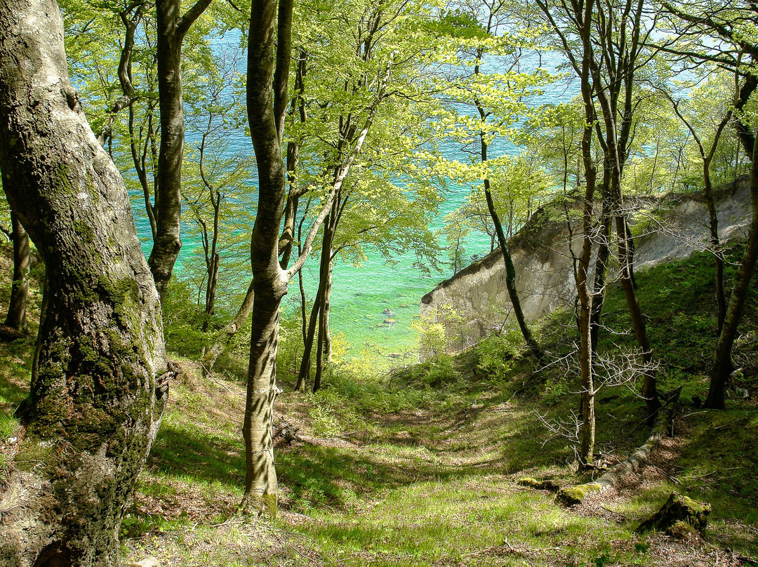 Nationalpark-Zentrum KÖNIGSSTUHL-萨斯尼茨必去景点