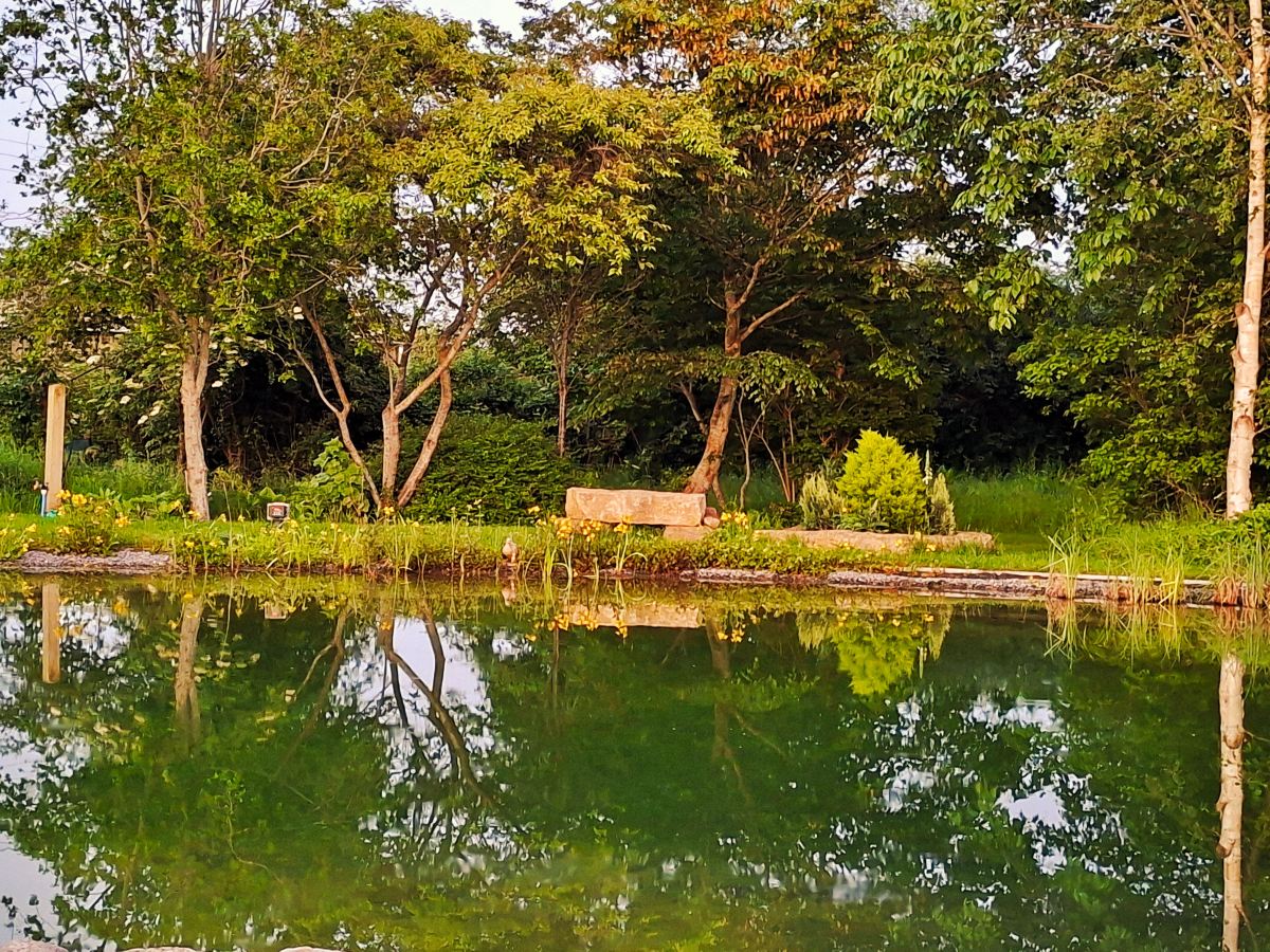 Model Farm Country House-旅行者