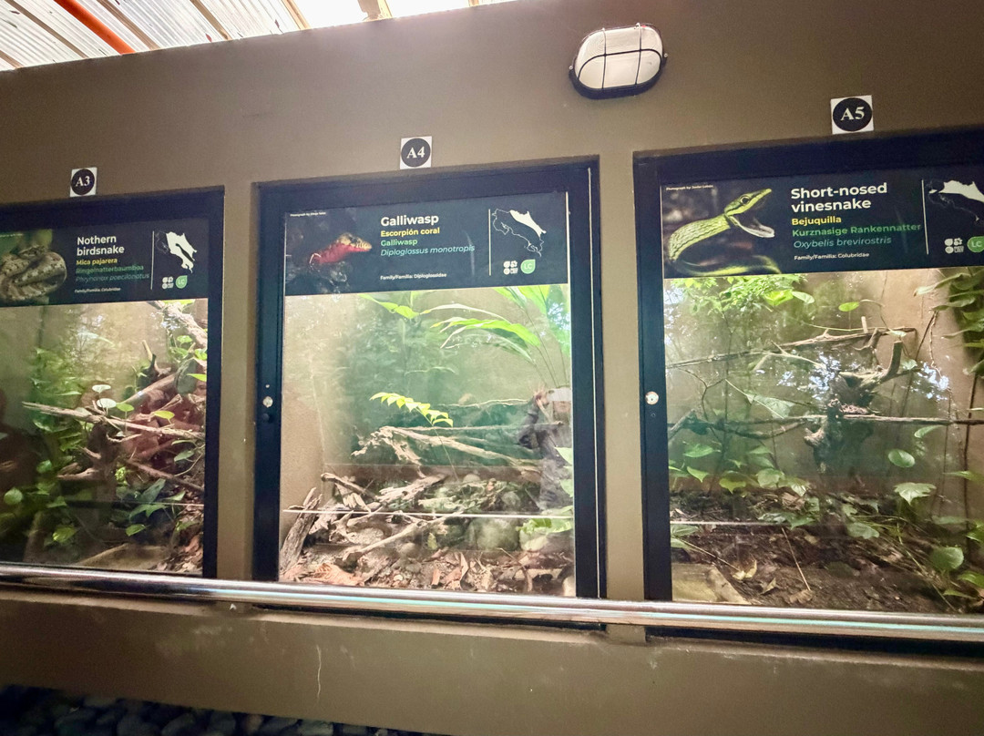 Veragua Rainforest Park-利蒙港必去景点