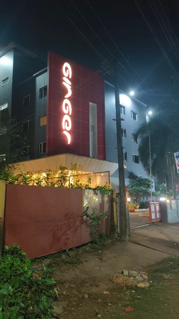 门格洛尔生姜酒店-旅行者