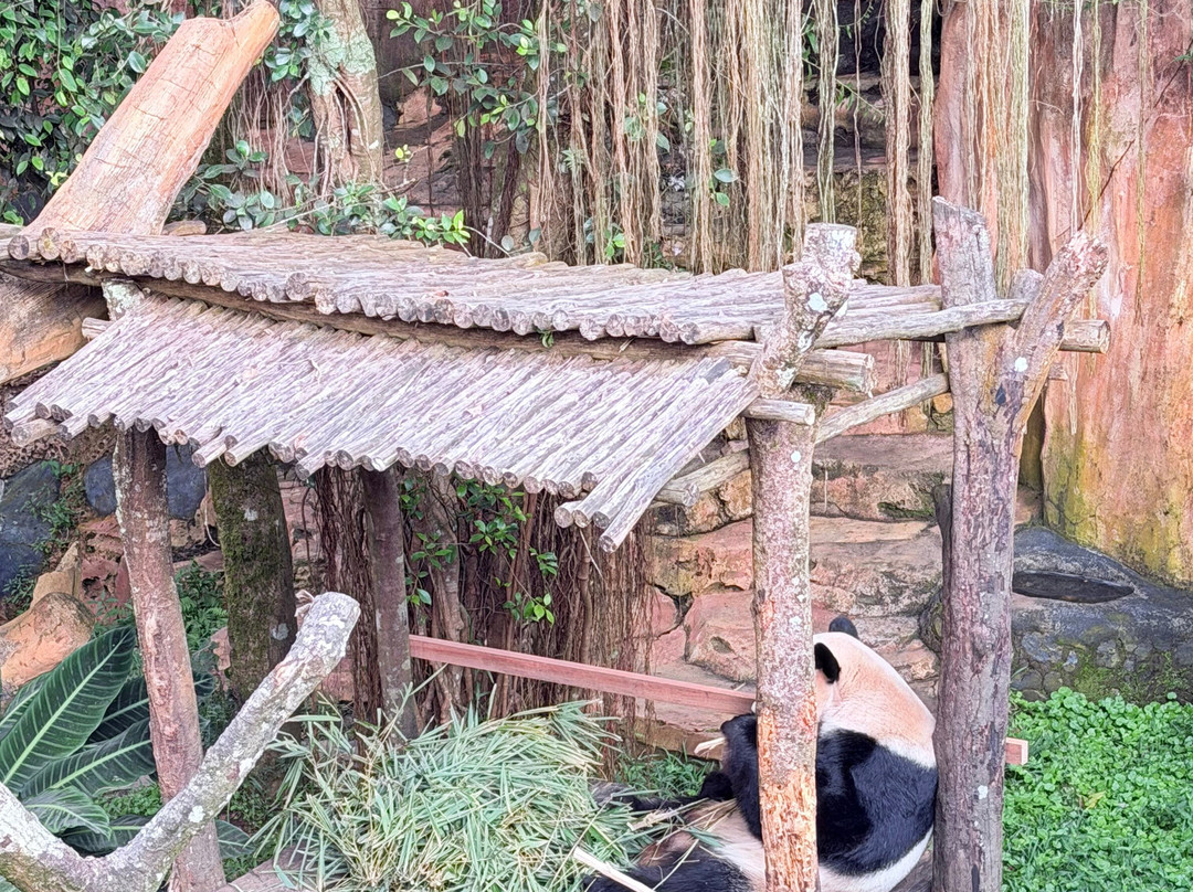 Taman Safari Indonesia Bogor-Cisarua必去景点