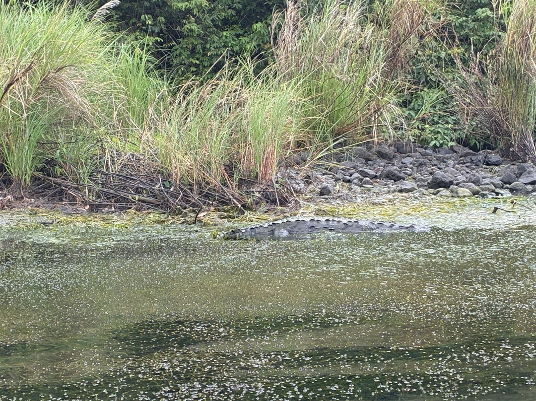 Panama Day Trips- Canal Eco Tours-巴拿马城必去景点