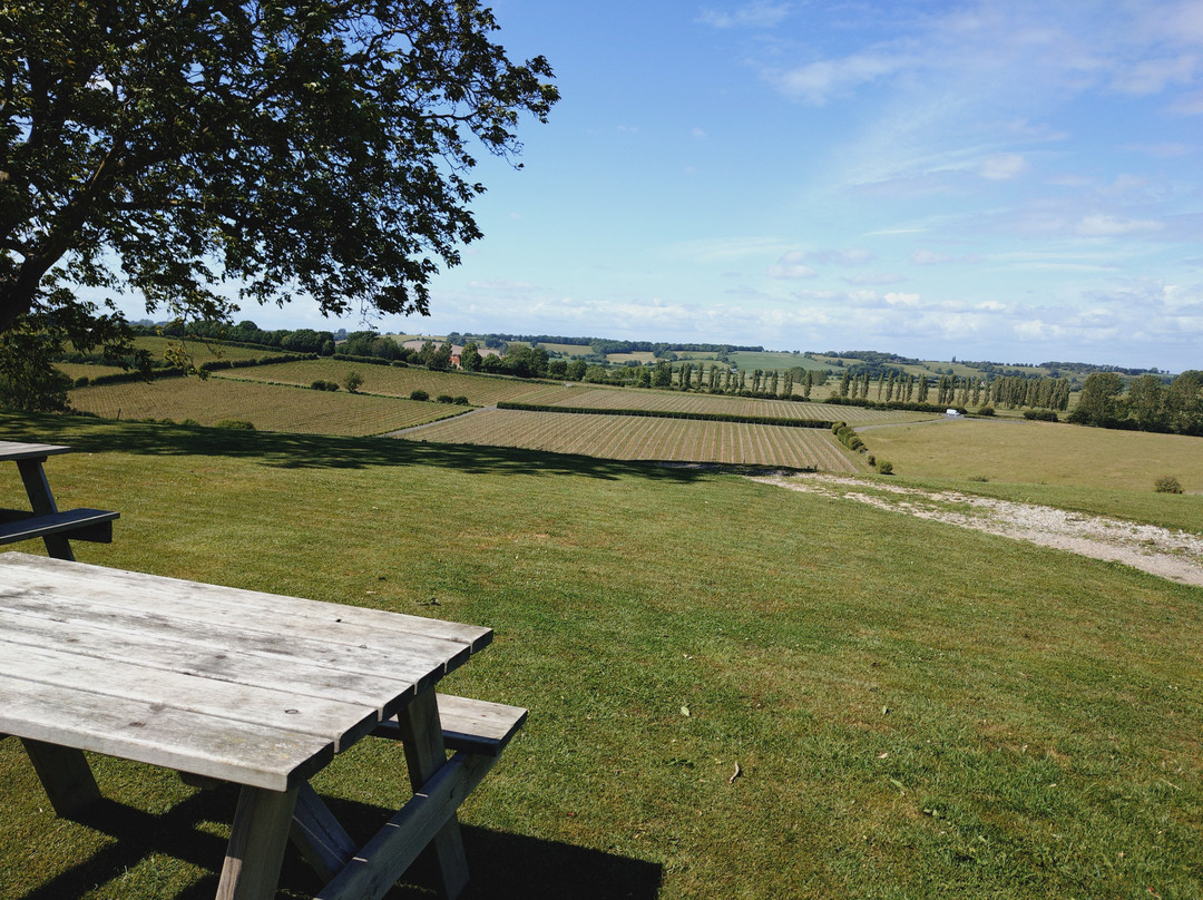 Charles Palmer Vineyards-Winchelsea必去景点