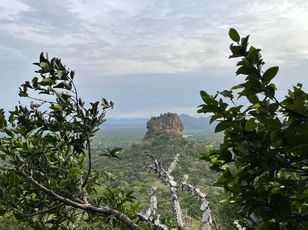 Excellent Lanka With Madu-卡图纳耶克必去景点