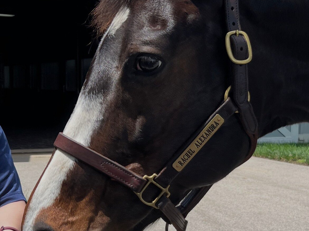Stonestreet Farm-列克星敦必去景点